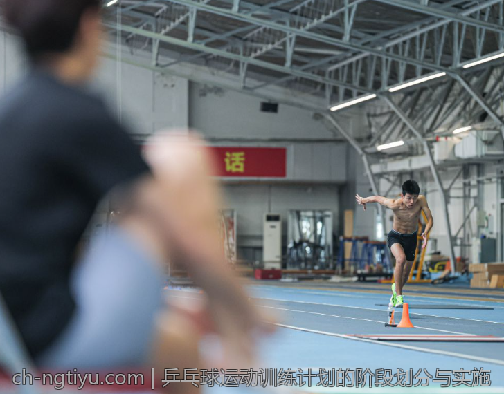 乒乓球运动训练计划的阶段划分与实施