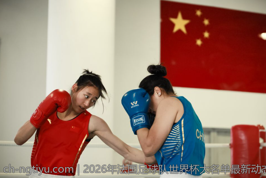 2026年法国足球队世界杯大名单最新动态
