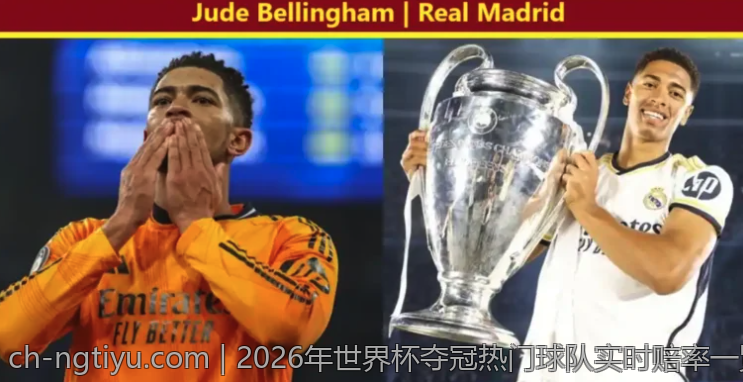 2026年世界杯夺冠热门球队实时赔率一览